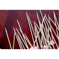 Lovely descartável churrasco de bambu Cocktail Sticks / Picks / Skewers